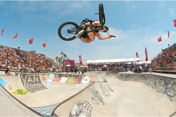 bigdan_foley_table_c.means_hi