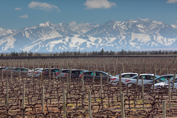 FOCUS-Test-Drive-Print-69