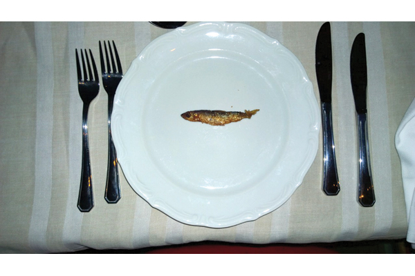 WP_20140317_22_24_28_Pro