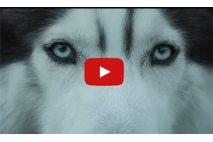 Captura-de-pantalla-2015-07-06-a-las-16.08.16