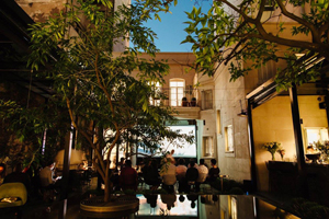 12605544_901756923255259_1817039430054984000_o