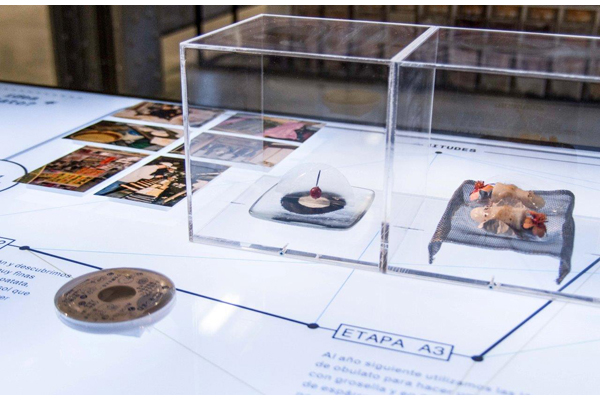 Detalle-de-la-instalación3