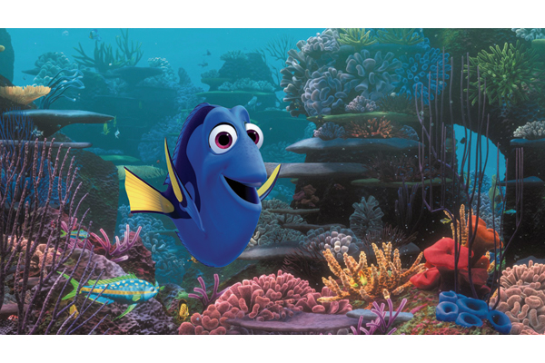 Dory.jpg_cmyk