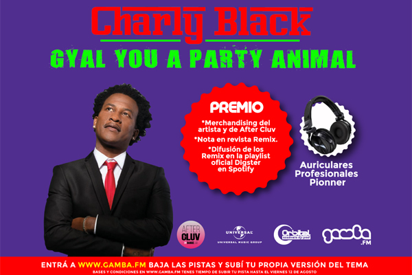 bigCHARLY-BLACK-REMIX_FCK