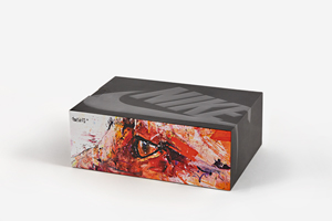 minsp16_nsw_am95dw_packagingimagery_box_fox_r300